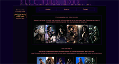 Desktop Screenshot of bluewildmoon.com